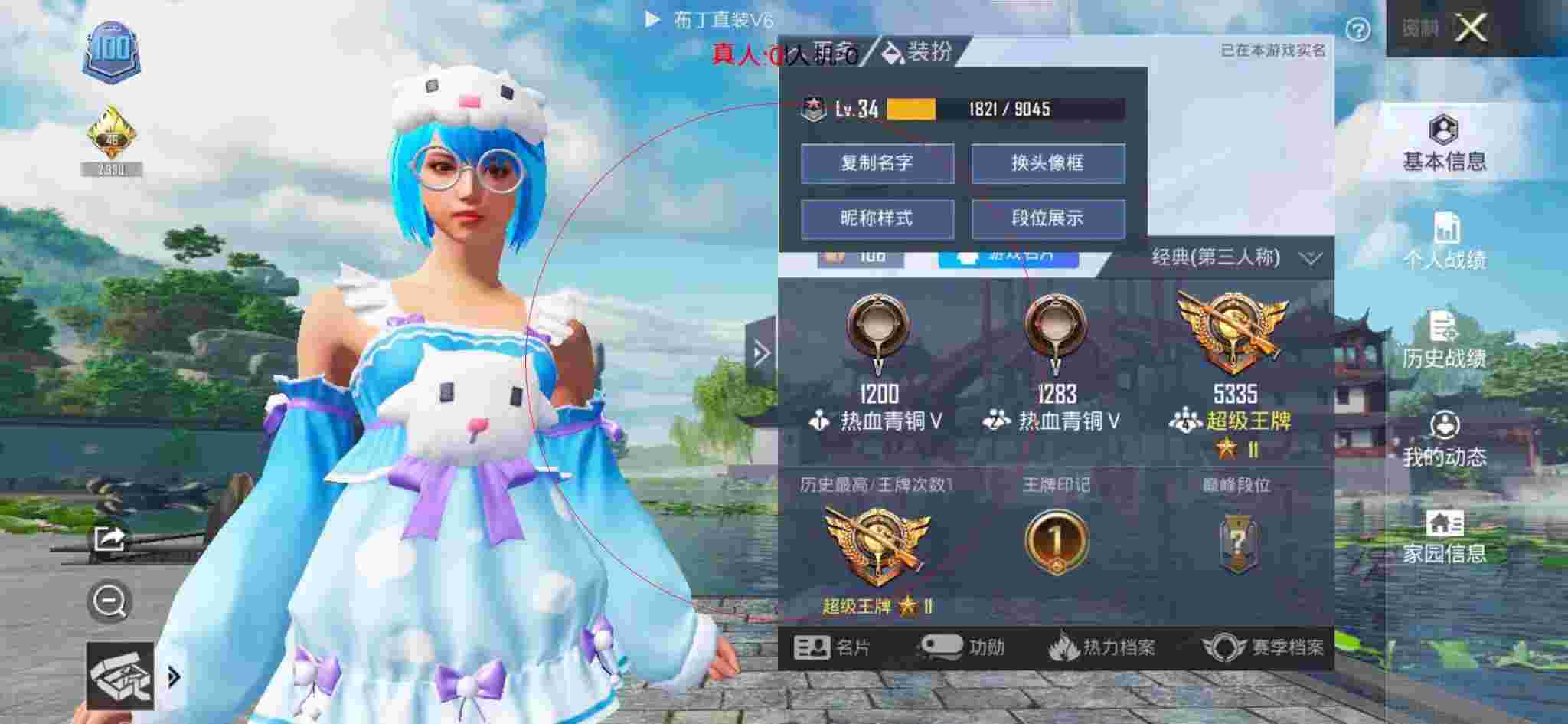 和平精英布丁直装透视 - 和平精英香波岛辅助位辅助预览图